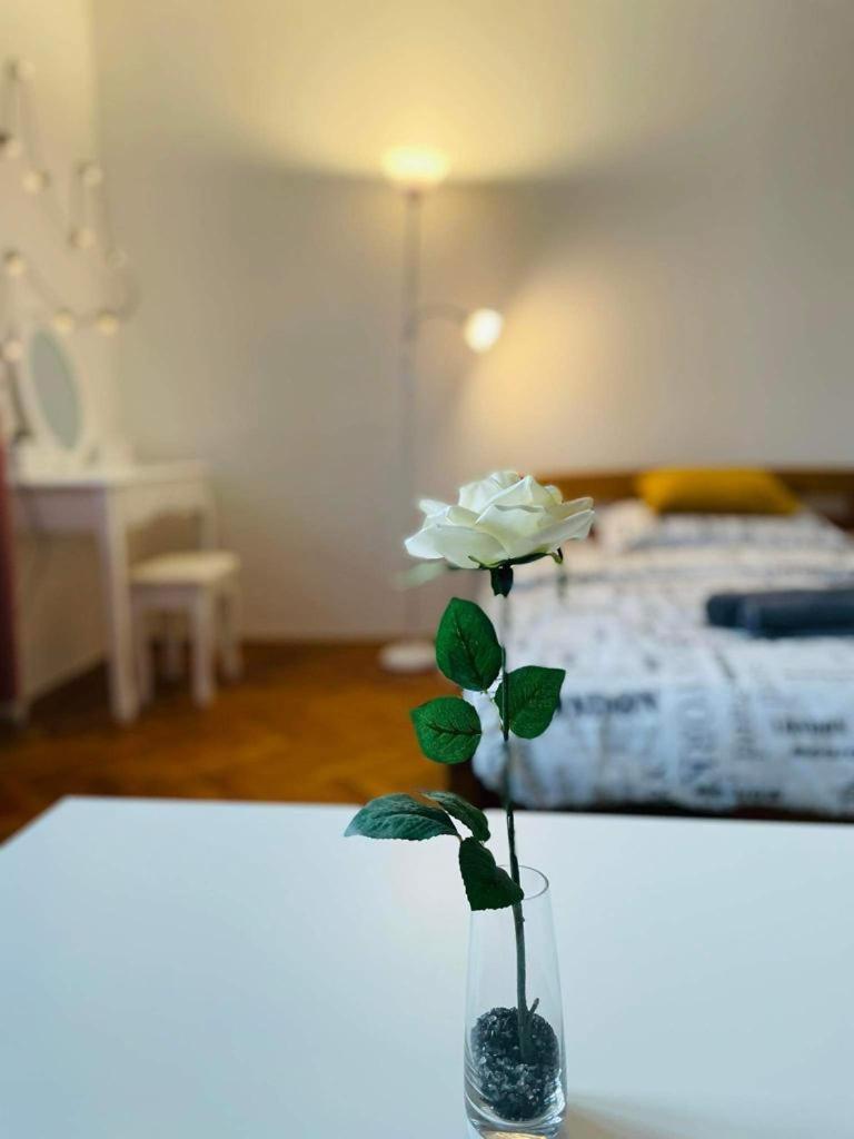 Lovely 2Bdr In Center, Wifi & Self-Check In Bratislava Esterno foto